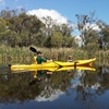 Image 3: Kayak Tour on the Canning River