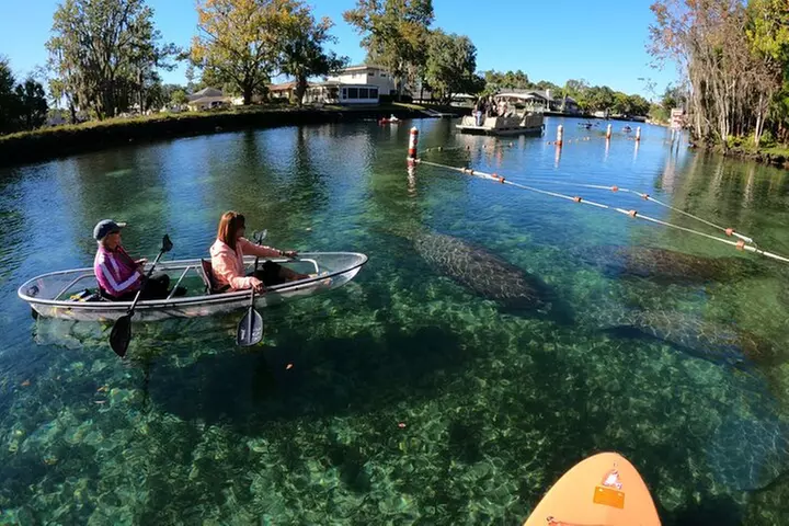 Clear Kayak Manatee Ecotour of Crystal River