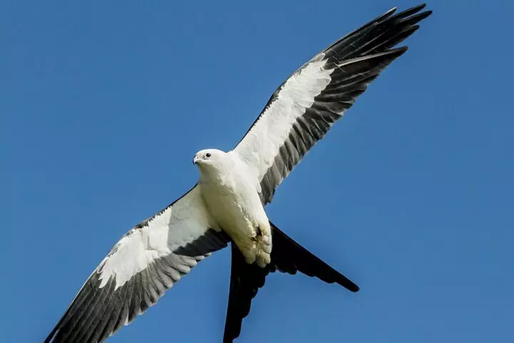 5 STARS: "Where The Locals Go!" Nature-History Tour