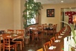 5% Cash Back at Ju Hachi Japanese Cuisine - Second Medium