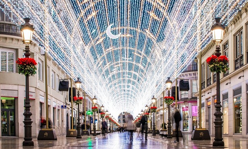 Image 4: Tour turístico privado en Málaga