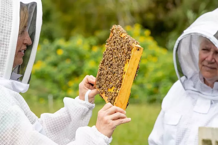 Private 2-Hour Beekeeping Classroom Tour in Honokaa