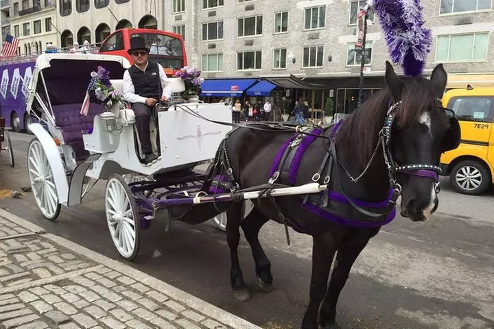 NYC Central Park Horse and Carriage Ride: Long Ride 45 min