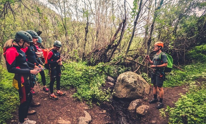 Image 2: Barranquismo en el Bosque de Laurisilva ツ