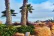 Ensenada Shore Excursion: City Tour & La Bufadora - Second Medium