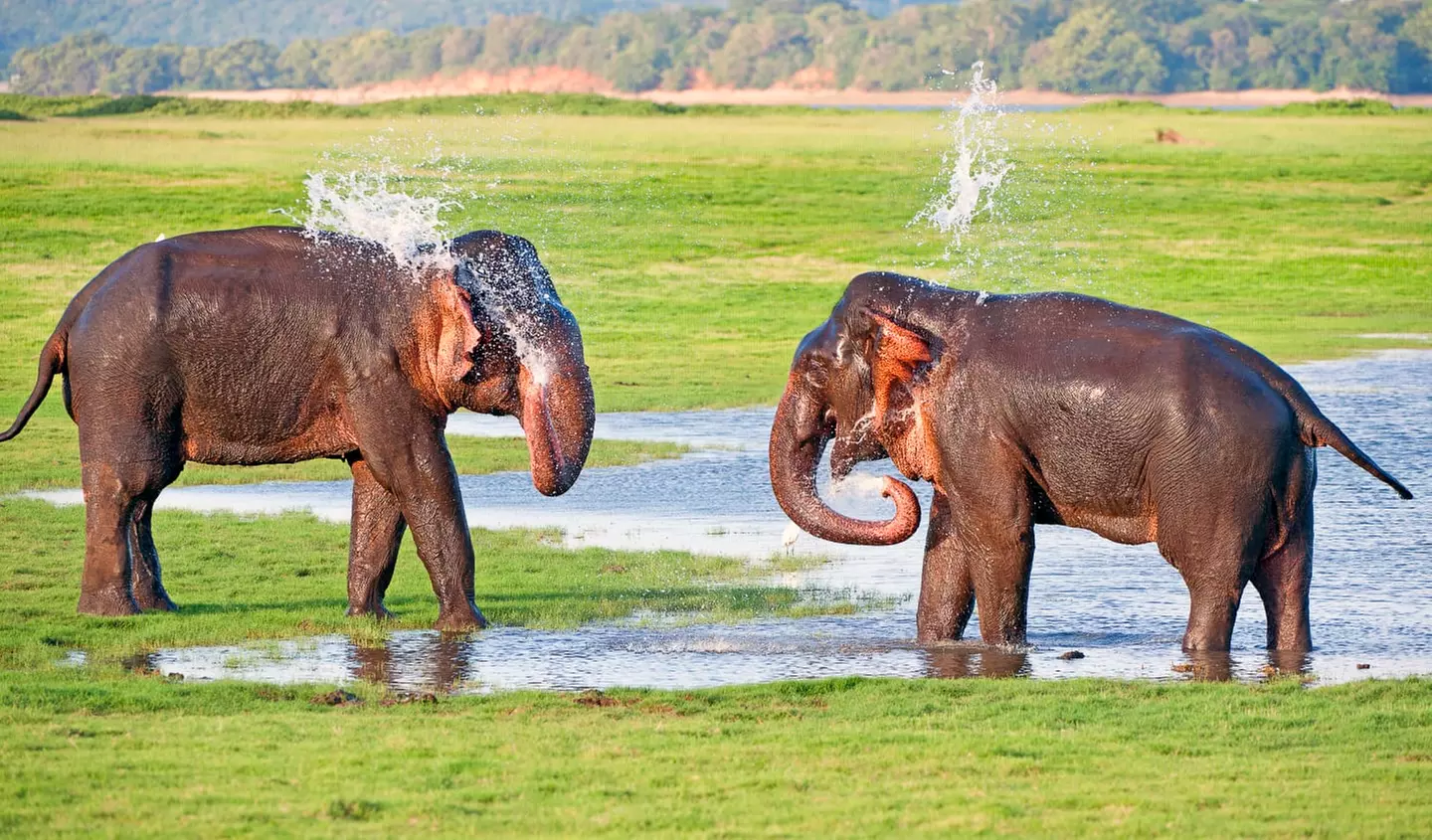 ✈ SRI LANKA | Colombo - Il meglio dello Sri Lanka con un'estensione...