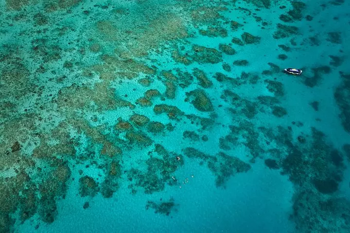 Cairns Great Barrier Reef Snorkel and Flight Adventure - Primary Image