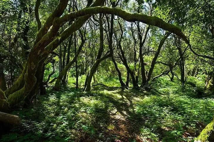 Escapada de un día a La Gomera desde Tenerife
