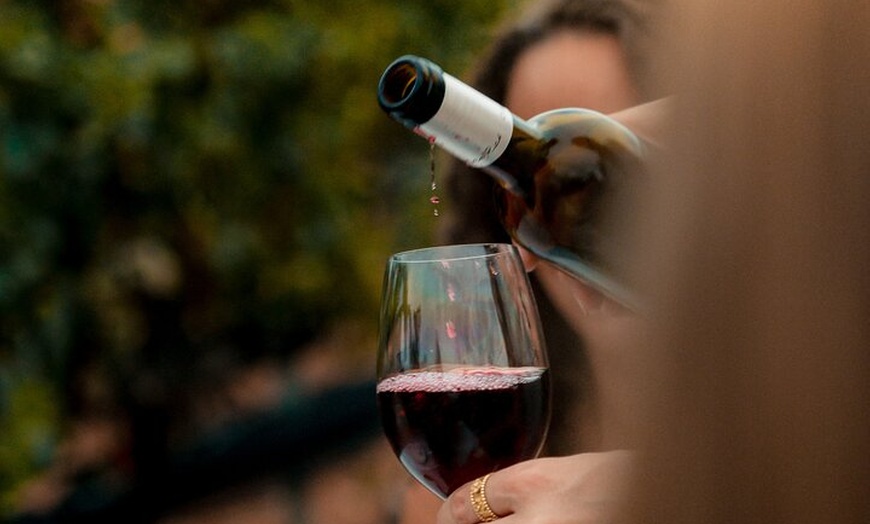 Image 14: Ibiza : Cata privada de vinos y aceites de oliva y Tapas y transporte