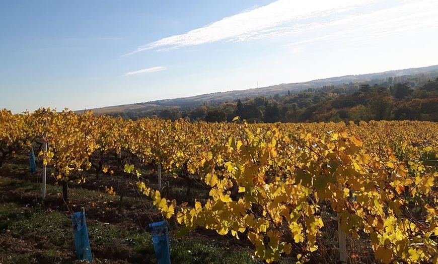 Image 6: Visite et dégustation de nos vins bios