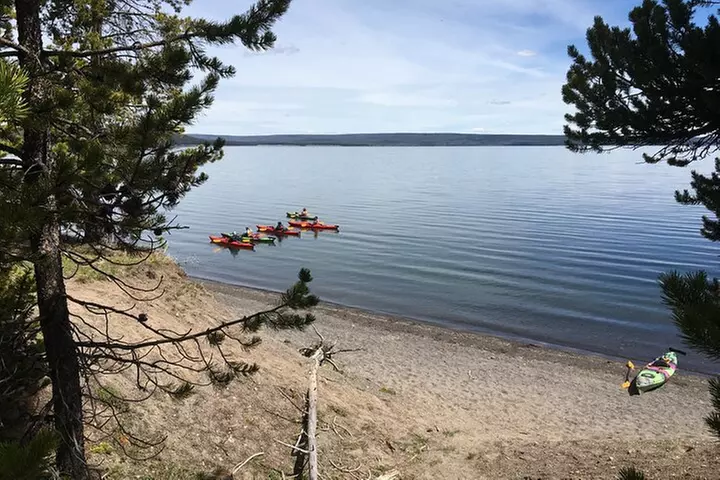 Lake Yellowstone Half Day Kayak Tours Past Geothermal Features