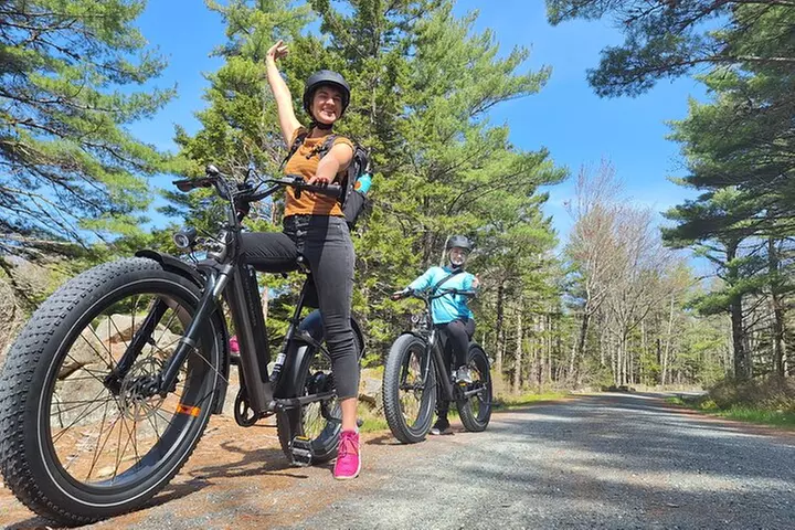 Fat Tire E-Bike Rental in Bar Harbor - Primary Image