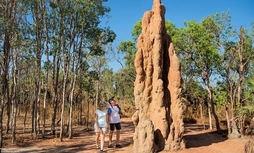 Image 9: Litchfield National Park Tour with Wetlands or Crocodile Cruise