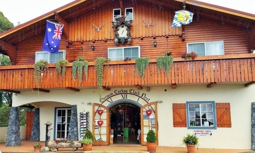 Image 5: Mt Tamborine And Glow Worm Day Tour