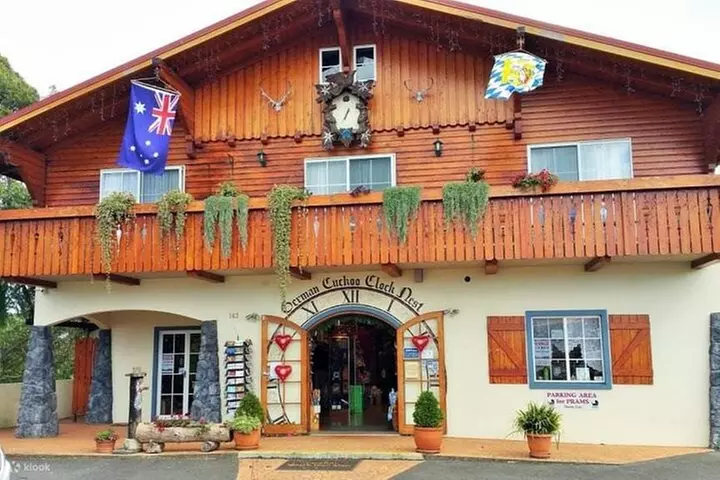 Mt Tamborine And Glow Worm Day Tour - Image 5