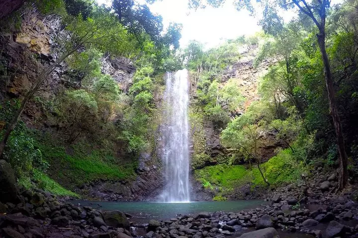 Wailua River & Waterfalls Kayak Tour: Expert-Guided Adventure