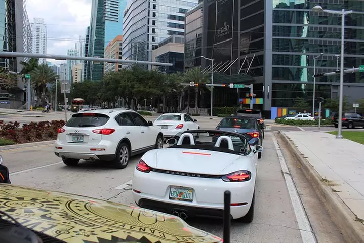 Everglades & Miami city tour with experienced guide in small group