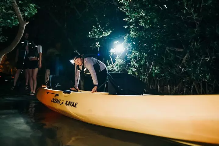 Thousand Islands Bioluminescent Kayak Tour with Cocoa Kayaking!