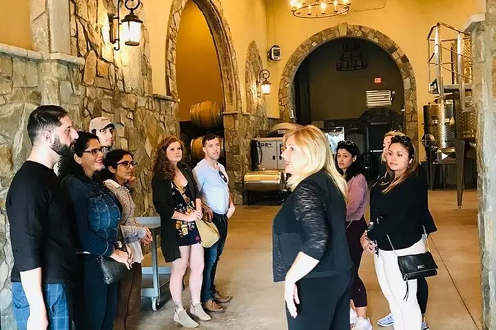 Virginia Wineries Guided Tour & Tastings from Washington DC - Primary Image