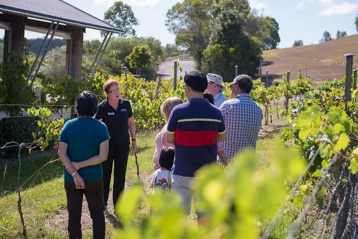 Sirromet Winery Tour and Wine Tasting