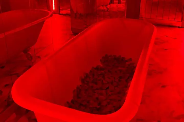 Ticket/Parque Foto-Temático y Actividad Virtual en Vigo