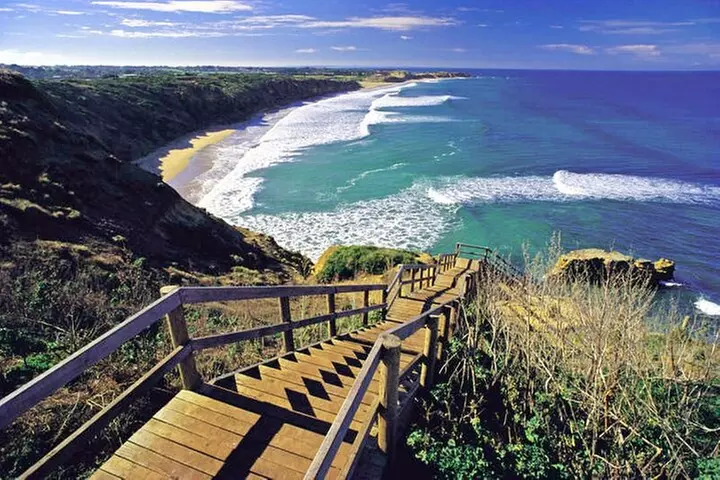 Great Ocean Road 12 apostles PRIVATE Luxury Tour 5 PAX all incl. - Primary Image