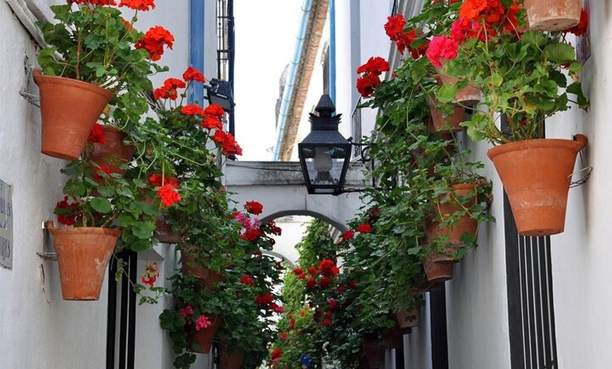 Image 4: Visita intensiva a los monumentos de Córdoba en francés Entradas in...