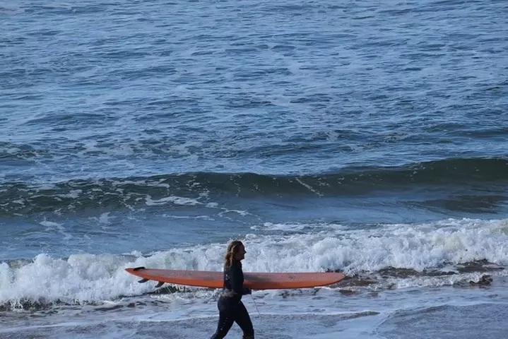 Great Ocean Road Tour Plus Koalas, Forest Walk And Morning Tea.