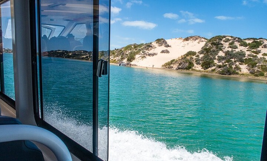 Image 3: Coorong 6-Hour Adventure Cruise