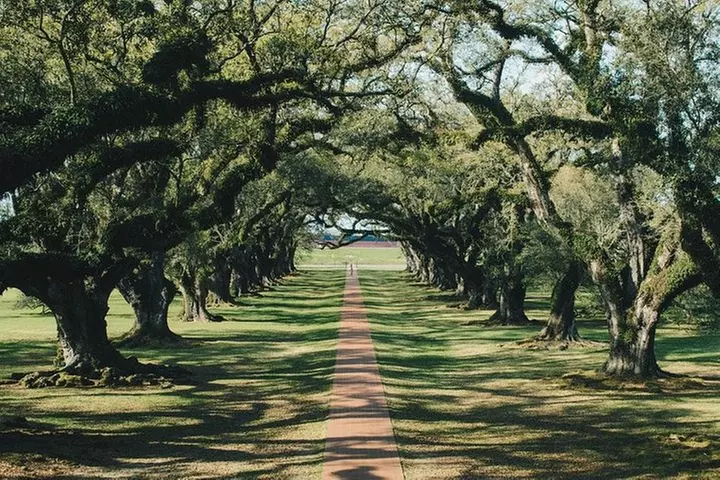 Oak Alley Plantation and Small Airboat Tour from New Orleans