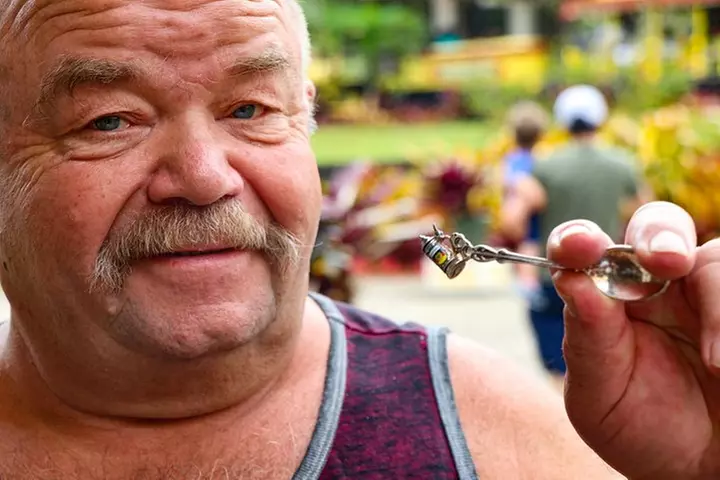 Full-Day Guided Private Tour