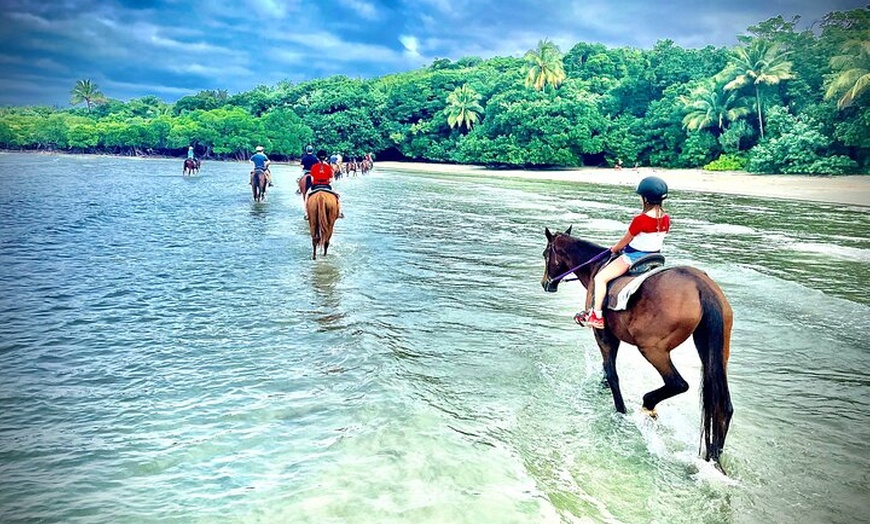 Image 7: Afternoon Beach Horse Ride in Cape Tribulation