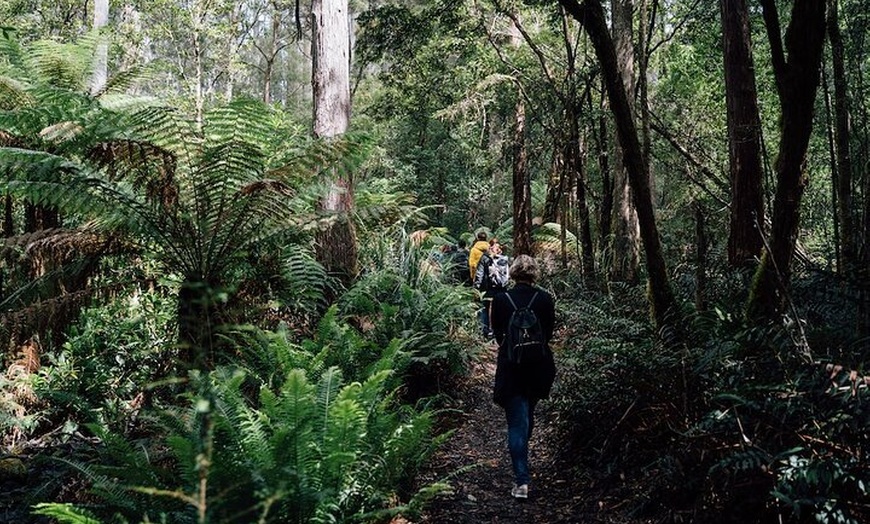 Image 7: Full-Day Guided Bruny Island Tour from Hobart