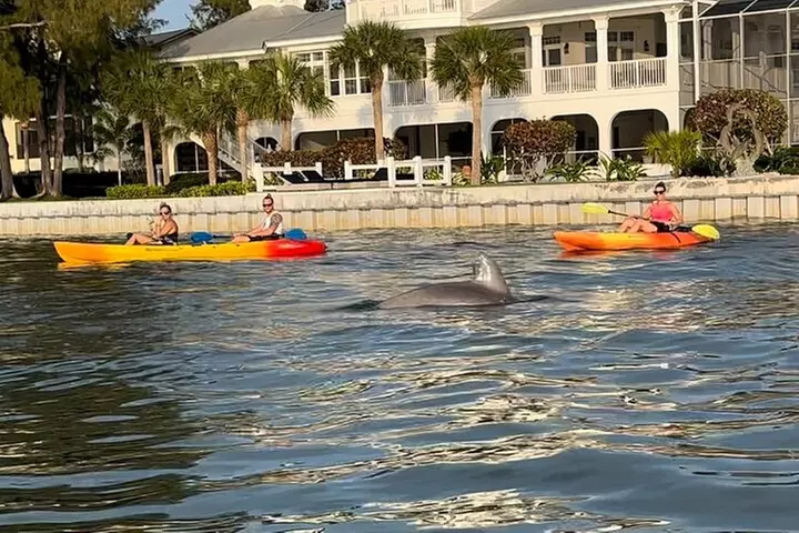 Sunset Kayaking with Dolphins