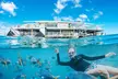 2-Day Great Barrier Reef: Reefsleep Experience - Image 4