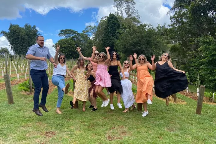 Mount Tamborine Deluxe Wine Tasting with Two Course Lunch