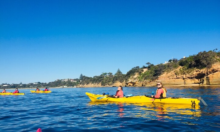 Image 8: Mornington Peninsula Kayak Coastline Tour of Dolphin Sanctuary