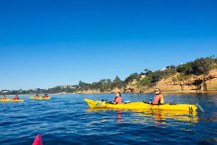 Mornington Peninsula Kayak Coastline Tour of Dolphin Sanctuary