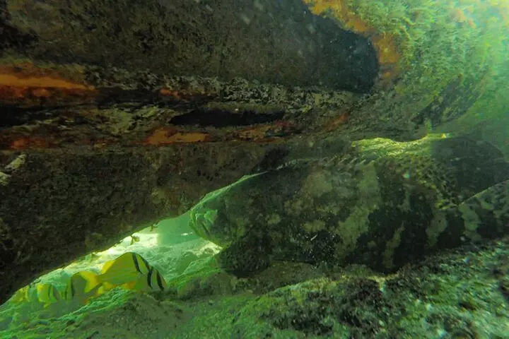 Florida Key Private Islands Exclusive Day Trip from Miami w/activ