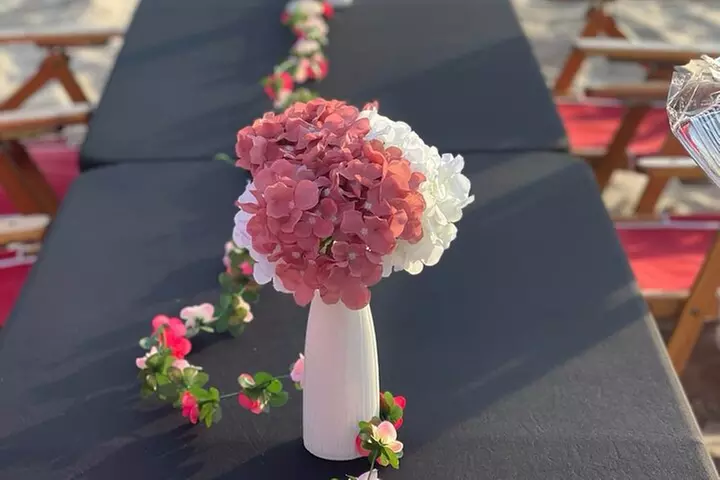 Luxury Beach Bonfire and Picnic Dinner at Town Line Beach