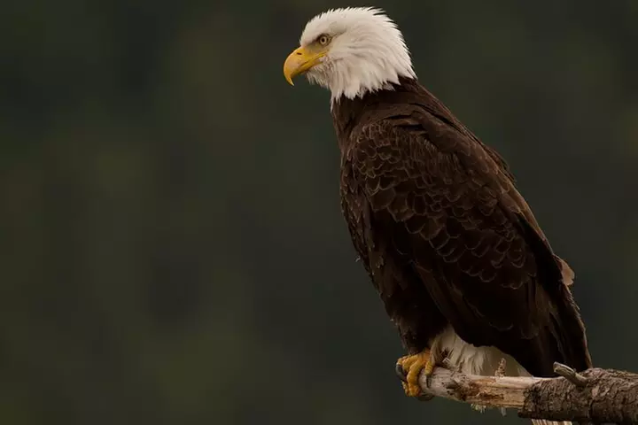 Kayaking in Deception Pass State Park