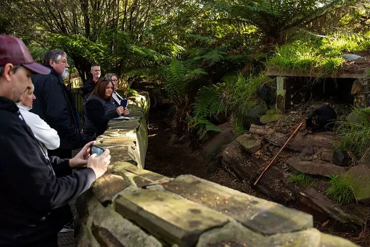 Port Arthur, Richmond and Tassie Devils Active Tour from Hobart