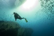 Certified Diver: 2-Tank Deep Wreck and Shallow Reef Dive Off Oahu - Second Medium