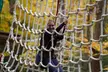 WildPlay Thacher - Classic Adventure Course - Second Medium