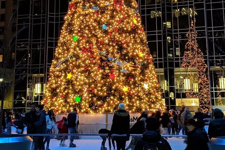 Holiday Lights Tour - Primary Image