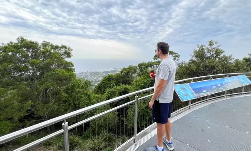 Image 3: Jervis Bay Private Tour - Pick up & Drop off