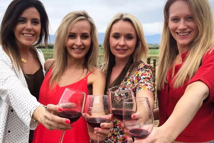 Santa Barbara's Original Afternoon Winery Tour - Primary Image