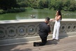 Romantic Proposal Carriage Tour in Central Park - Second Medium