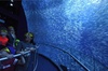 National Geographic Encounter: Ocean Odyssey ($8 Off Retail Admission)