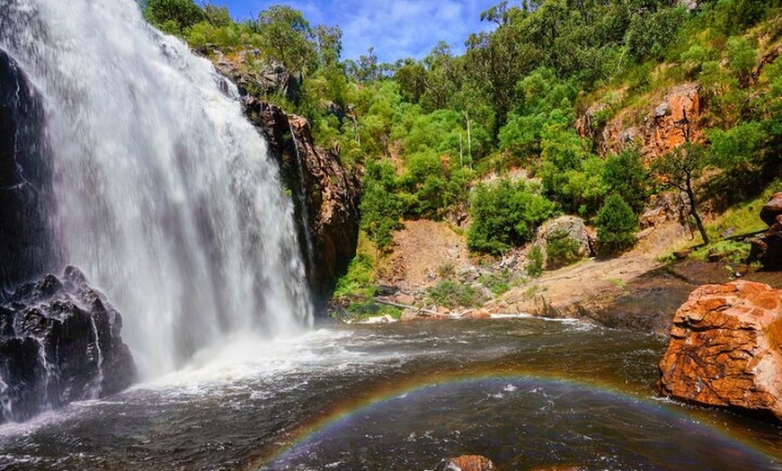 Image 2: Grampians National Park Small-Group Eco Tour from Melbourne